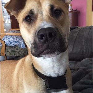 Meet your Posher, Logan